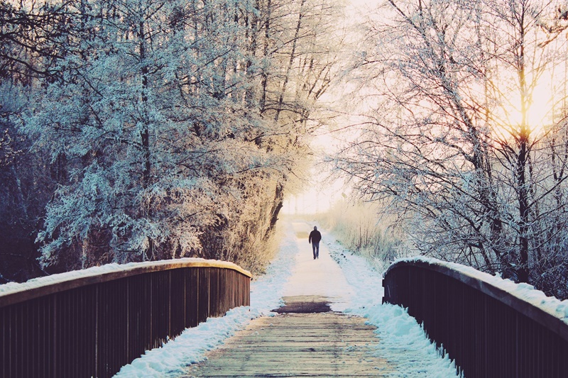 bridge covered in snow